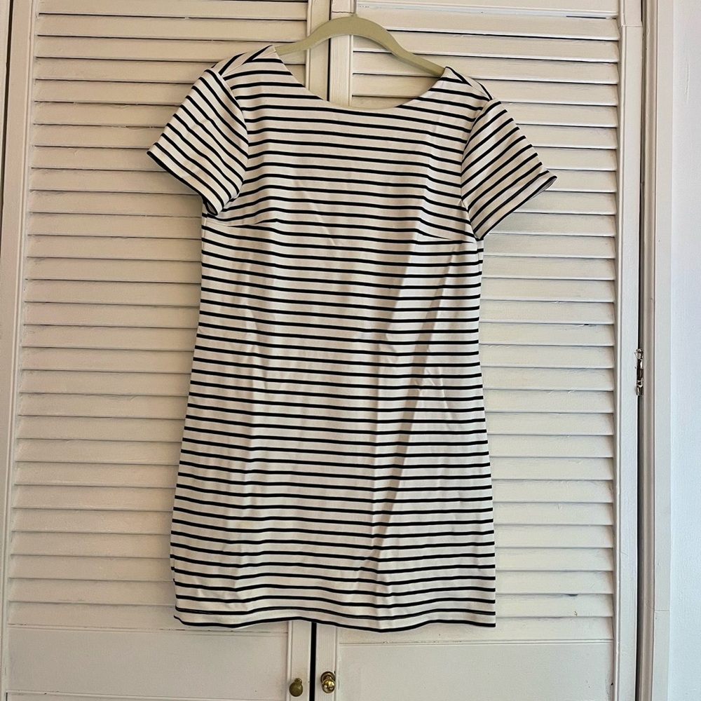Mini Shift Dress